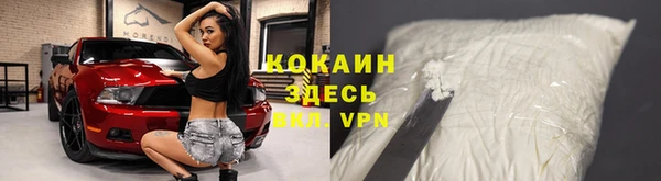 крисы Алексин