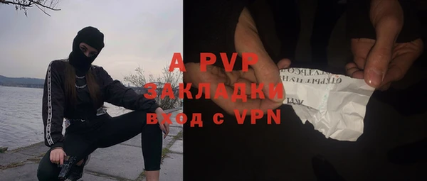 сатива Алзамай