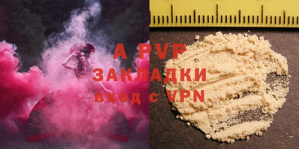 сатива Алзамай