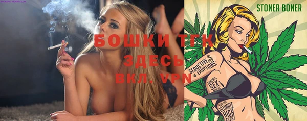 крисы Алексин