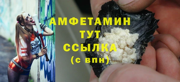 сатива Алзамай