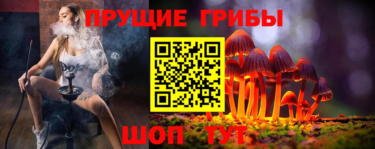 Галлюциногенные грибы Psilocybe Дюртюли